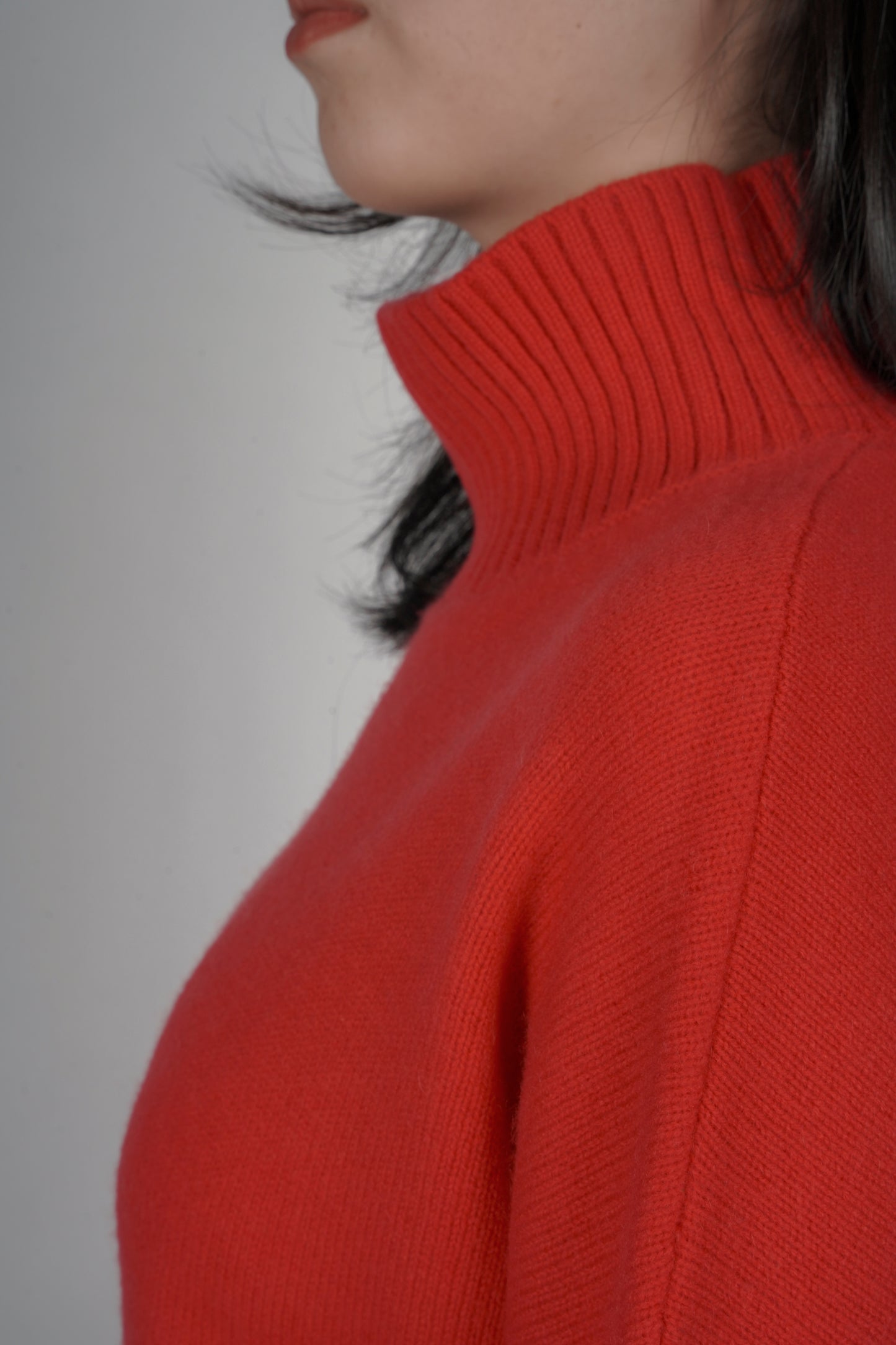 Diana Ribbed Cashmere Mock Turtleneck